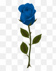 Transparent Background Blue Roses Png - No