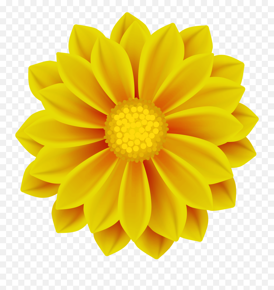 Flower Clipart Png Yellow Pictures