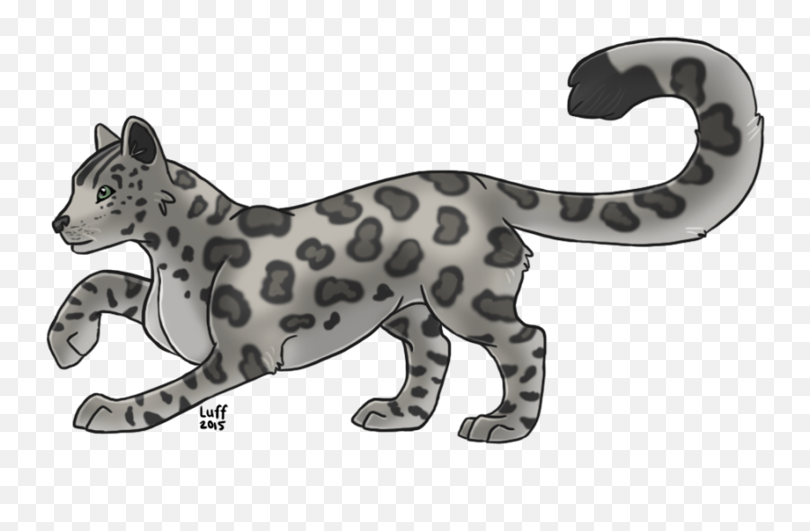 Download Snow Leopard - Clouded Leopard Png Image With No Clouded Leopard No Background,Snow Leopard Png
