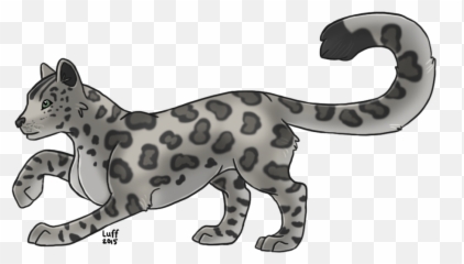 Download Snow Leopard - Clouded Leopard Png Image With No Clouded Leopard No Background,Snow Leopard Png