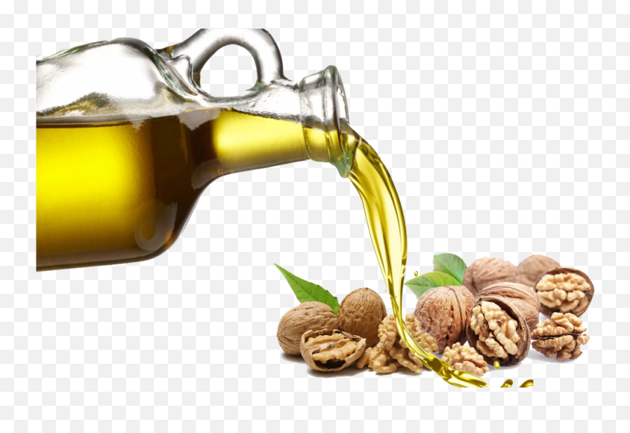 Walnut Oil Png Download Image - Anointing Oil In Bible,Walnut Png
