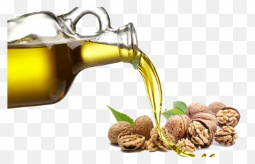 Walnut Oil Png Download Image - Anointing Oil In Bible,Walnut Png