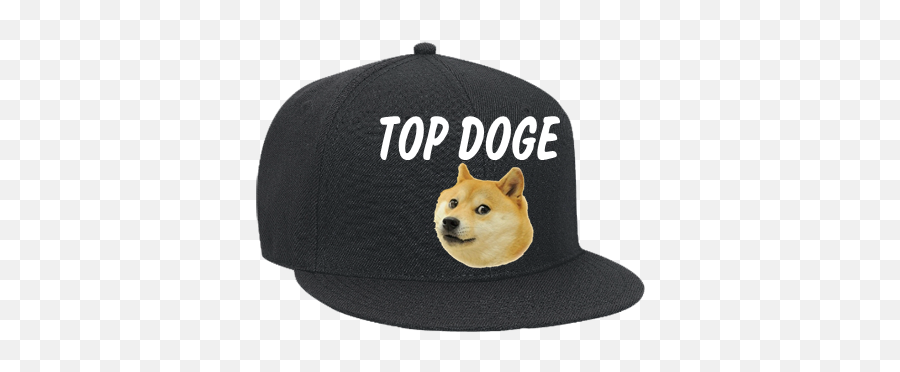 Doge Store - Lessons Tes Teach Doge Hat Transparent Png,Doge Png