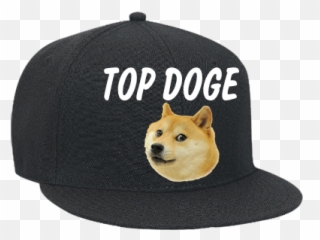 Doge Store - Lessons Tes Teach Doge Hat Transparent Png,Doge Png