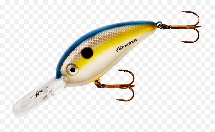 Fish Hook Png Images - Transparent Fish Lure Png,Fishing Lure Png