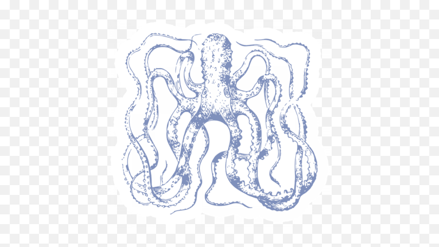 The Good Life - July 2020 Tags U0026 Stickers Print Sticker Common Octopus Png,Octopus Transparent