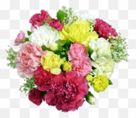 Carnations Bouquet Transparent Png - Carnation Bouquet Transparent Background,Carnation Png