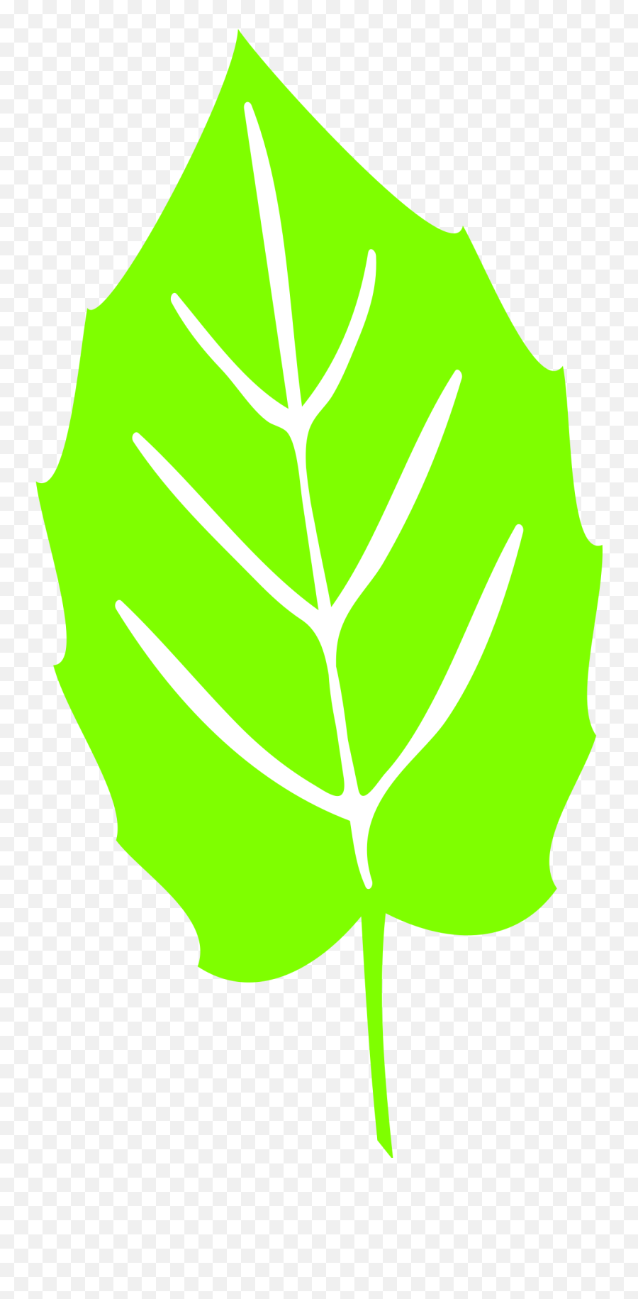 Free Free Sunflower Leaf Svg 97 SVG PNG EPS DXF File