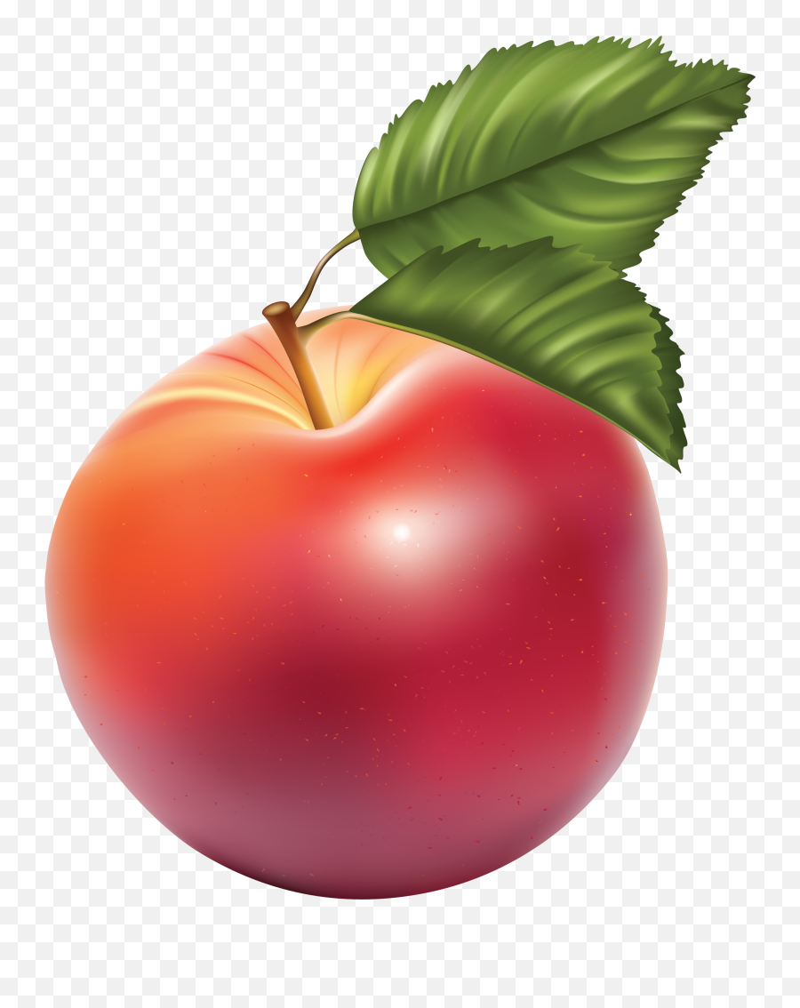 Red Apple Png - Free Vector Fruit,Red Apple Png