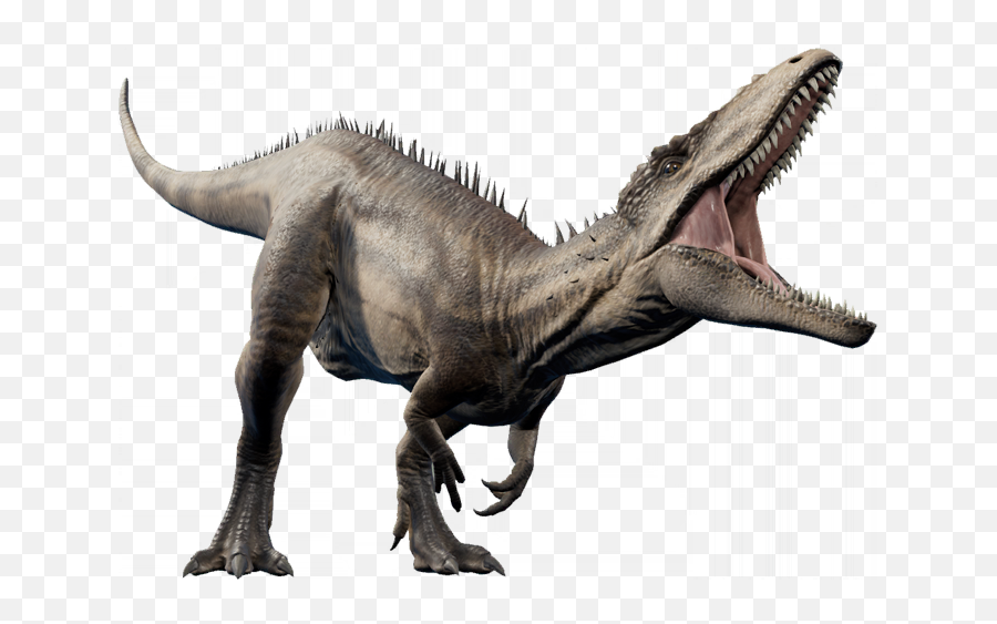 Carcharodontosaurus Jurassic World Evolution Wiki Fandom - Carcharodontosaurus Jurassic World Evolution Png,Evolution Png