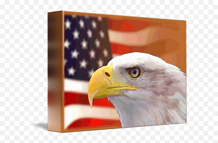 Usa Flag Eagle By Rogue Art - American Png,American Flag Eagle Png