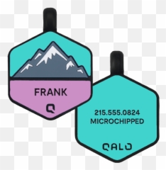 Bloom Mountain Silicone Dog Id Tag - Qalo Dog Tags Png,Dogtag Icon
