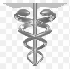 Travel Nurse Staffing Agency - Physician png