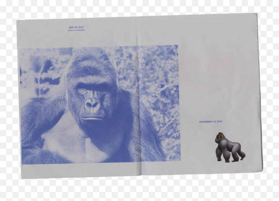 Art Imitates Life - Vanissa Wong Gorilla Penis Png,Harambe Transparent