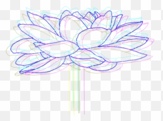 Blue Lotus Shop Wwwminispavtcom - Floral png