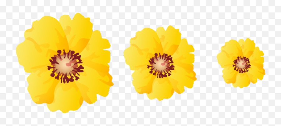 Yellow Flower - Gula Blommor Vit Bakgrund Png,Yellow Flower Icon