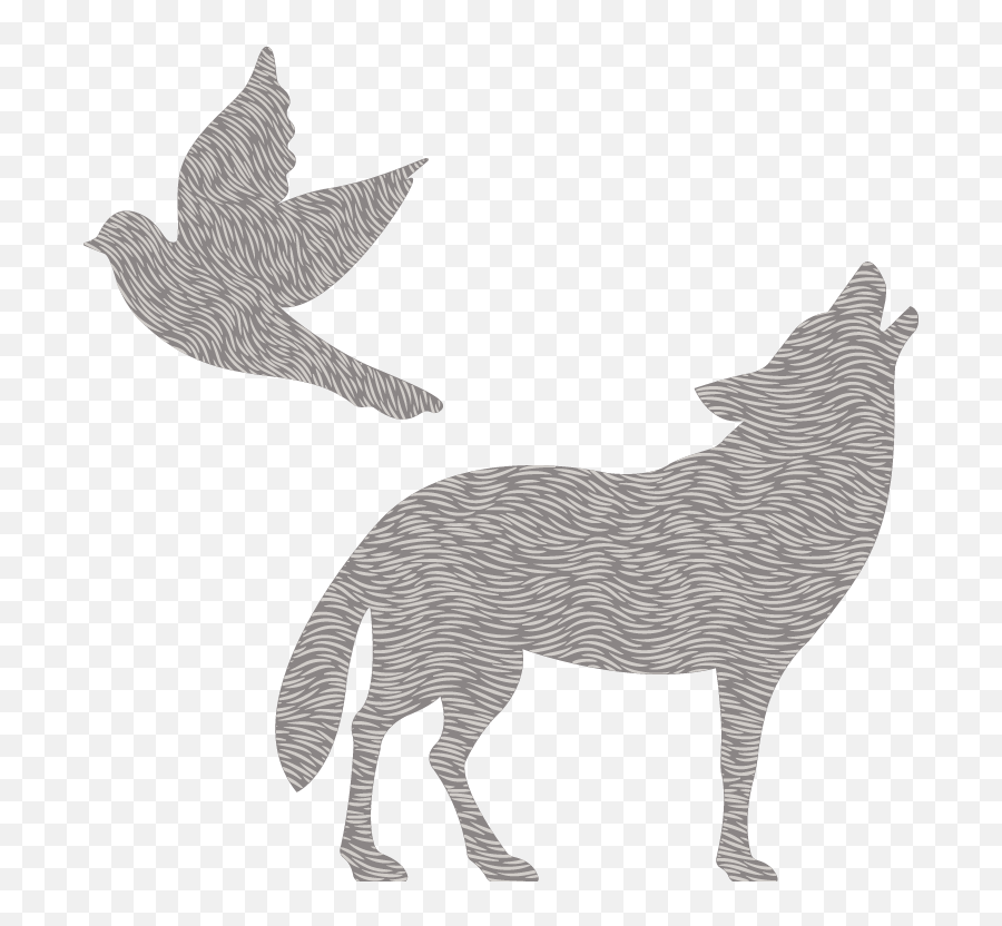 Contact U2014 Dove Wolf - Bird Png,Coyote Icon