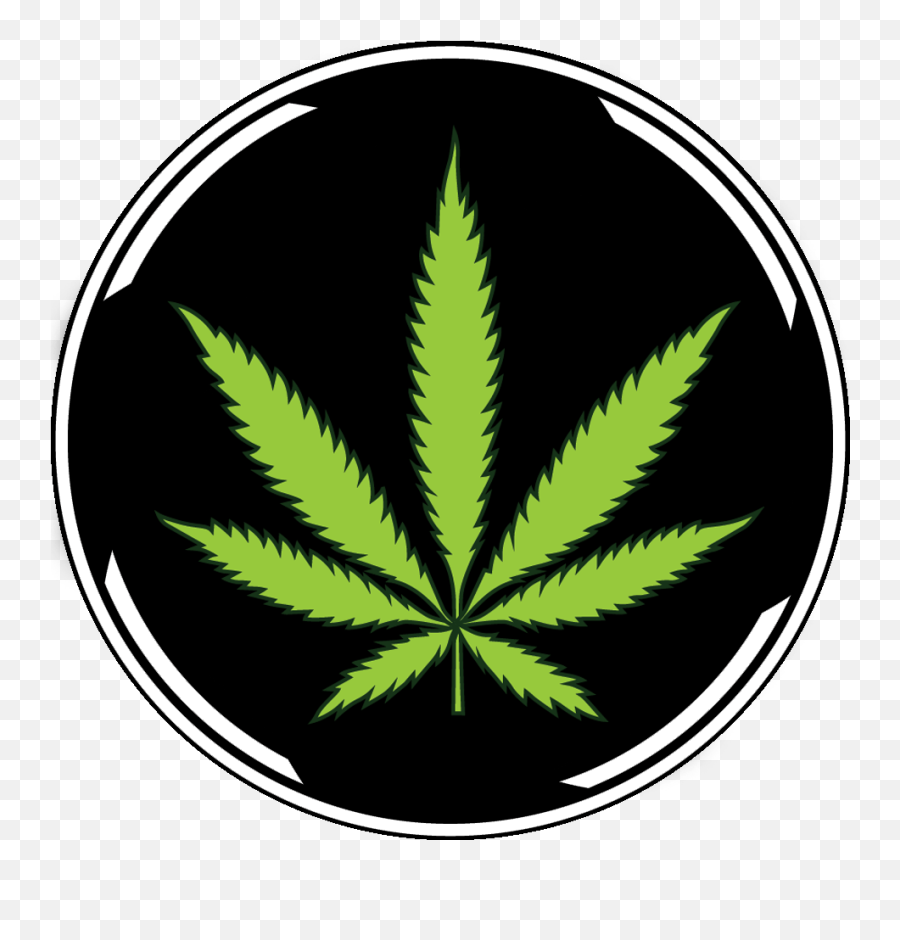 Marijuana Leaf Icon Png - White Cannabis Leaf Transparent Marijuana Leaves White,Weed Transparent Background
