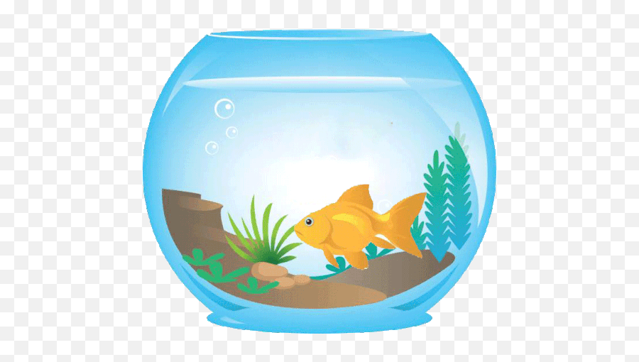 Goldfish Aquariumme Sticker - Goldfish Aquariumme Do Fish Fish In Aquarium Gif Png,Goldfish Icon