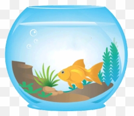 Goldfish Aquariumme Sticker - Goldfish Aquariumme Do Fish Fish In Aquarium Gif Png,Goldfish Icon