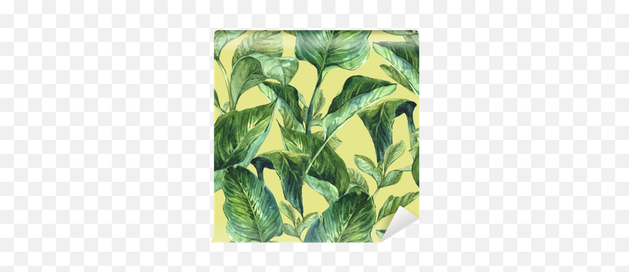 Watercolor Seamless Background With Tropical Leaves Wall Mural U2022 Pixers - We Live To Change Jungle Day Roller Blind Png,Tropical Leaf Png