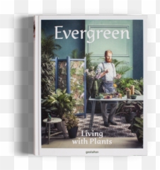 Evergreen - Living With Plants png
