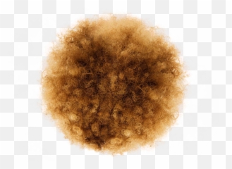 Yellow Hair Transparent Png Clipart - White Girls With Afros