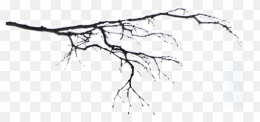 Dal Png Transparent - Ramas Con Nieve
