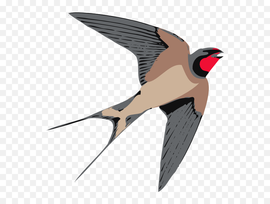 Sparrow Png Free Download Mart - Swallow Clipart,Sparrow Png