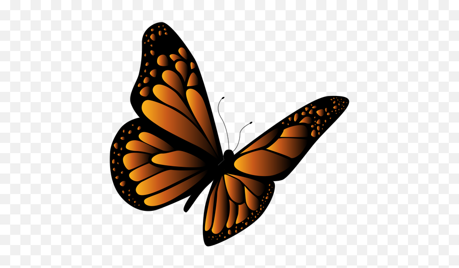 Transparent Png Svg Vector Butterfly Flying Stencil Free Transparent Png Images Pngaaa Com