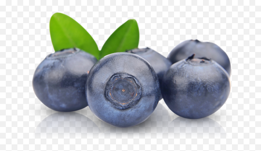 Transparent Background Blueberry Png - Transparent Background Blueberry Png,Blueberries Png