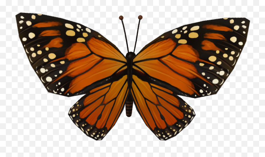 Fisher - Realistic Butterfly Wings Png,Butterfly Wing Png