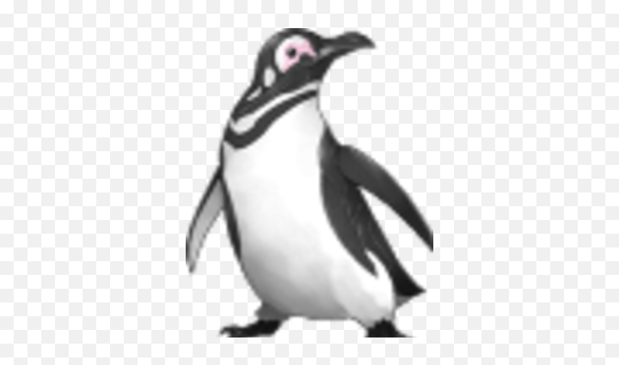 Penguin Dragon Island Blue Wiki Fandom - Leuconotopicus Png,Penguin Png