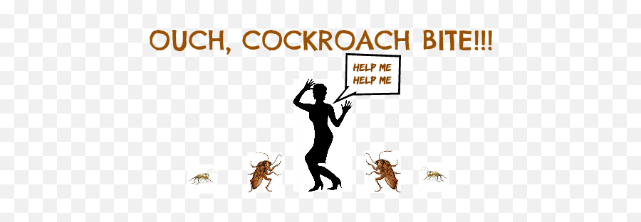 How To Deal With Outside Roaches - Roach Treatment Hornet Png,Cockroach Transparent