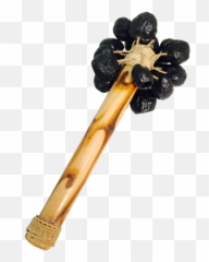 Musical Instruments U2014 Art Eclectic Png Maraca