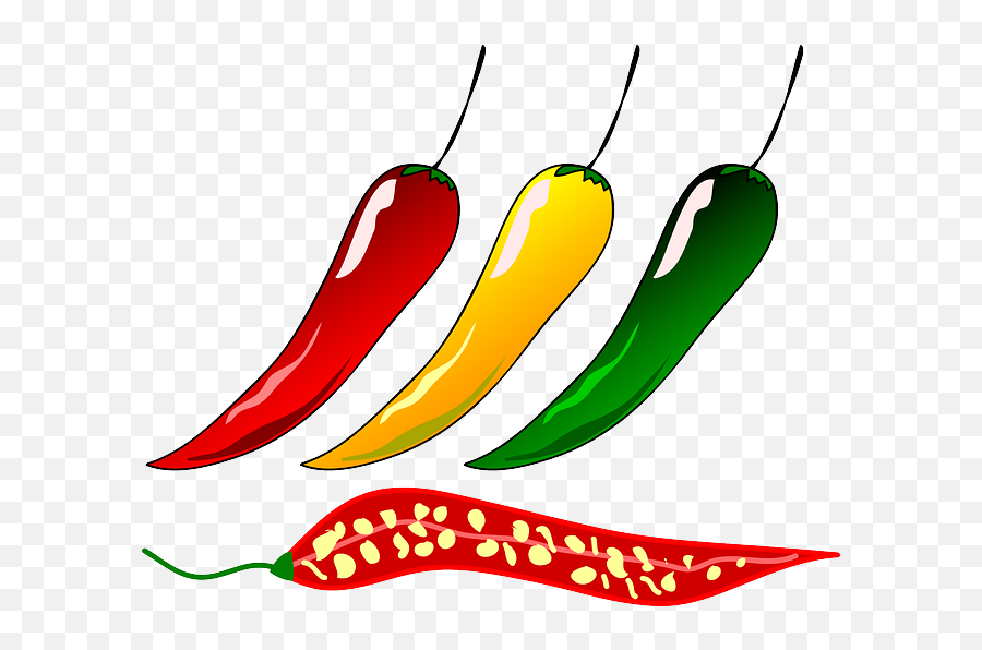 Chili Pepper - Free Vector Graphic On Pixabay Chilli Png,Chili Png