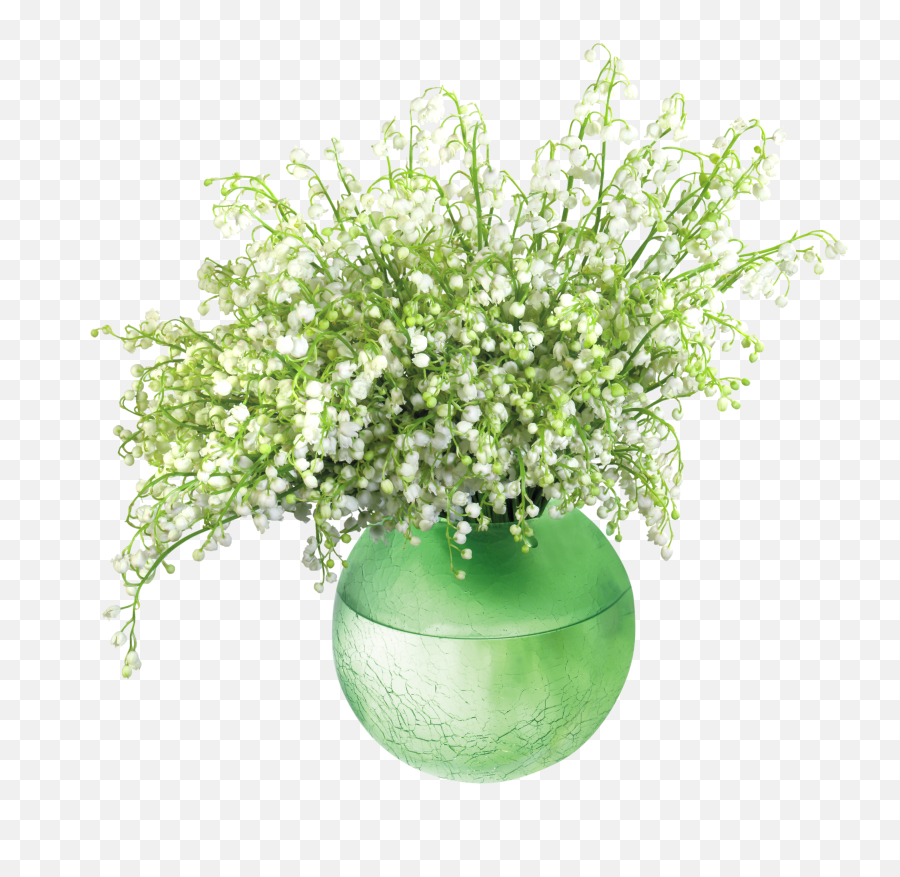 Lily Transparent Vase Png - Vase De Fleure Deco Green Vase White Flower,Lily Transparent