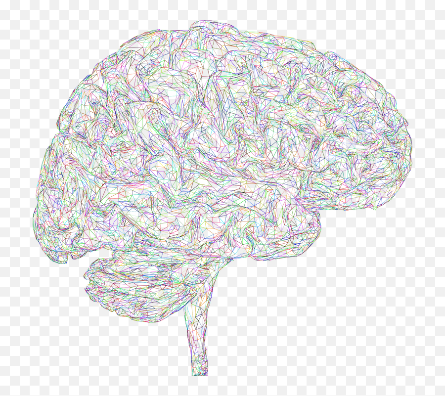 Brain 3d Thought - Free Vector Graphic On Pixabay Brain Wire Frame Transparent Png,Mind Png