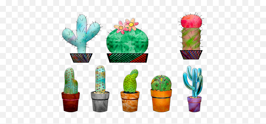 1000 Free Desert Cactus U0026 Images - Pixabay Cacti Png,Succulent Transparent Background