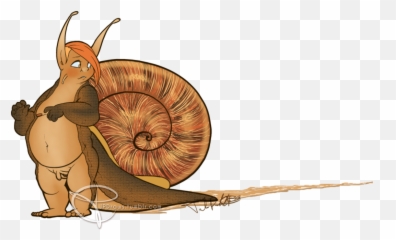 Snail U2013 Art By Jey Pawlik - Illustration Png,Snail Transparent