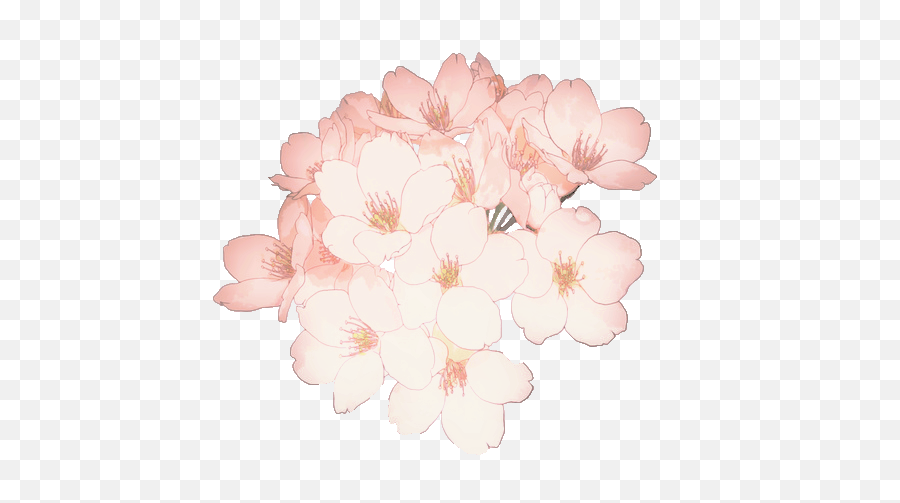 Overlay And Transparent Image - Sakura Flower Png,Flower Overlay Png