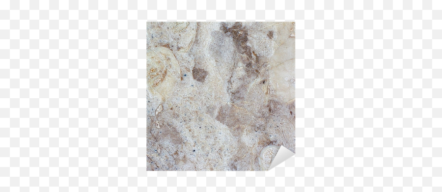 Marble Floor Png Images High Res - Tile,Marble Background Png