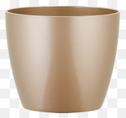 Phc Png Gold Dust