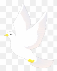 Flying Dove Png Svg Clip Art For Web - White Bird Vector