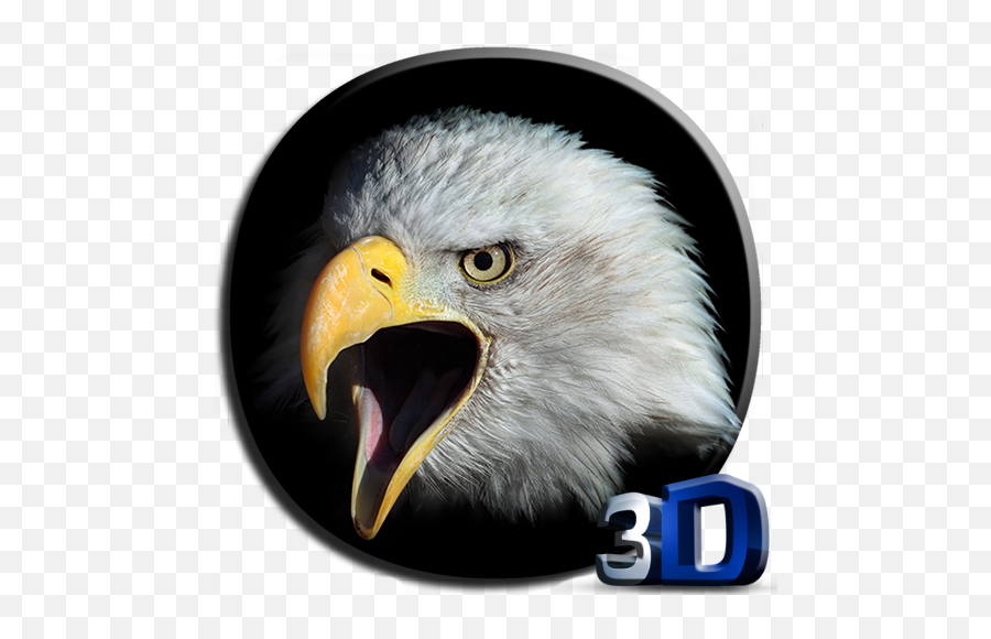 Eagle 3d Video Live Wallpaper - Apps On Google Play License Plate Eagle Flag Png,Eagles Logo Wallpapers