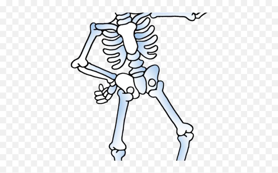 Download Hd Skeleton Clipart Skelton - Skeleton Clip Art Png,Skelton Png