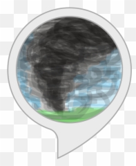 Alexa Skills - Gracie Humaitá png