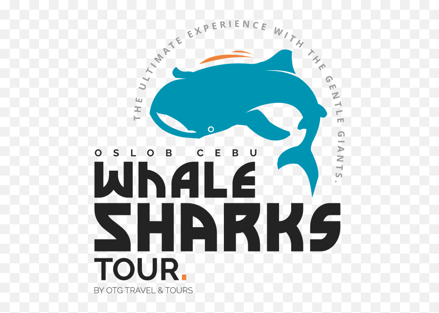 Oslob Cebu Whale Sharks Tour City Philippines - Design Whale Shark Logo Png,Whale Shark Png