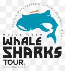 Oslob Cebu Whale Sharks Tour City Philippines - Design Whale Shark Logo Png,Whale Shark Png