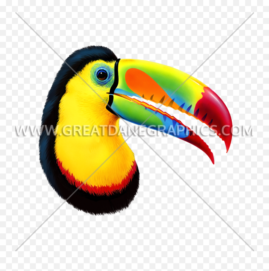 Toucan Production Ready Artwork For T - Shirt Printing Toco Toucan Png,Toucan Png